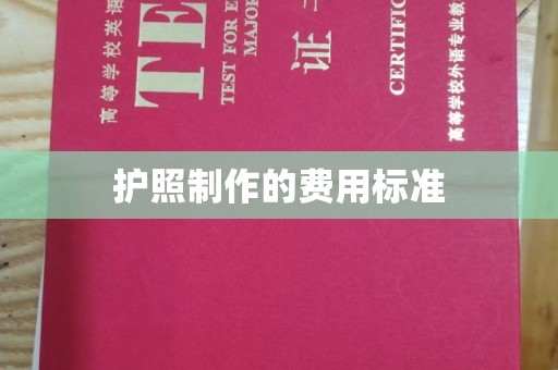大丰护照制作的费用标准